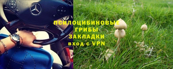 стафф Абдулино